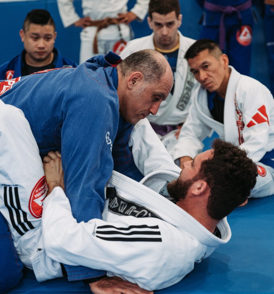 Adults jiu-jitsu training